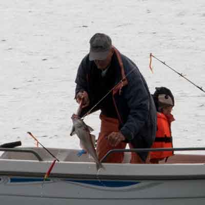 Tr&ouml;llskagi: Hjalteyri Angeln